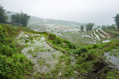 Scenic view of landscape against sky