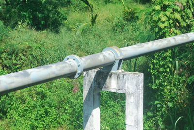 Pipe on field against trees