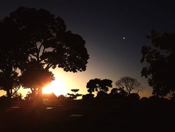 Silhouette trees on field against sky during sunset