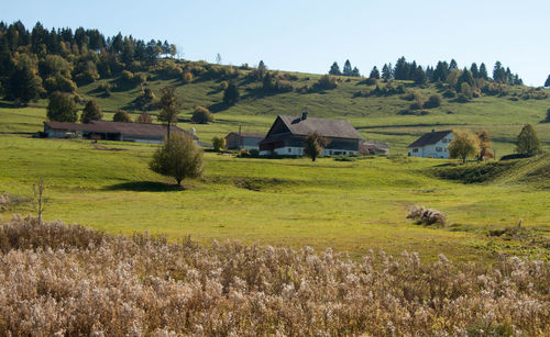 Scenic view of trees and houses on field against sky