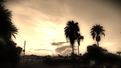 Silhouette palm trees against cloudy sky