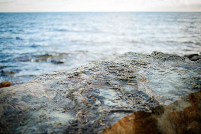 Surface level of rock on sea shore against sky