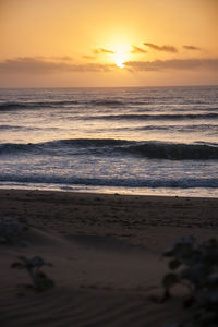 Scenic view of sea against sky during sunset
