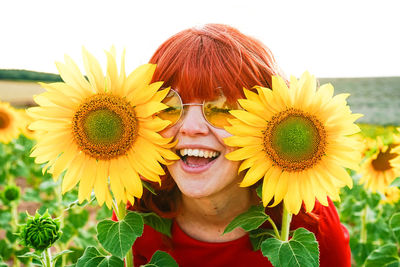 Close-up of a sunflower