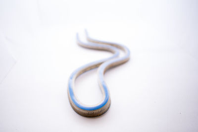 Close-up of object over white background