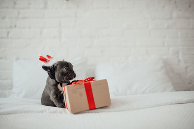 Close-up of christmas presents on bed at home