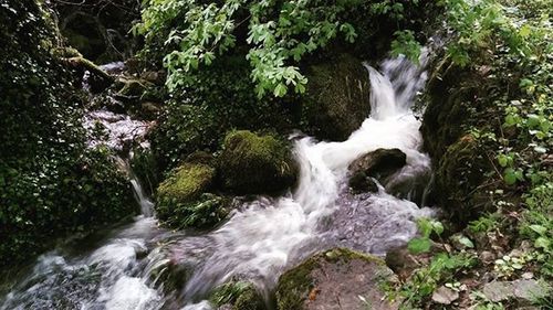 Stream flowing through rocks