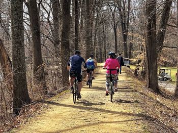 Rear view of men riding bicycle in forest