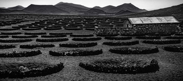 High angle view of messy field