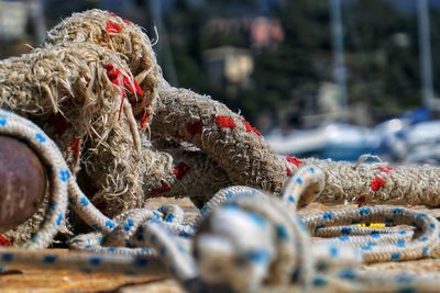 Close-up of ropes at harbor