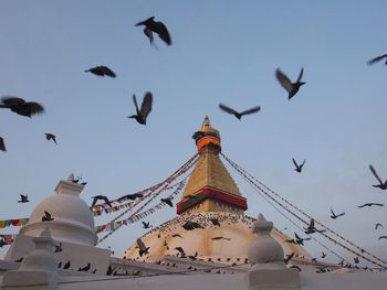 Low angle view of birds flying against sky