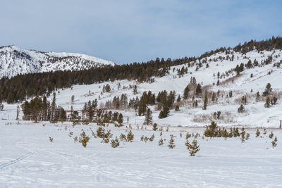 Scenic view of snow covered mountains against sky