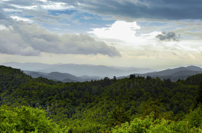 High angle view of lush foliage and mountains against sky