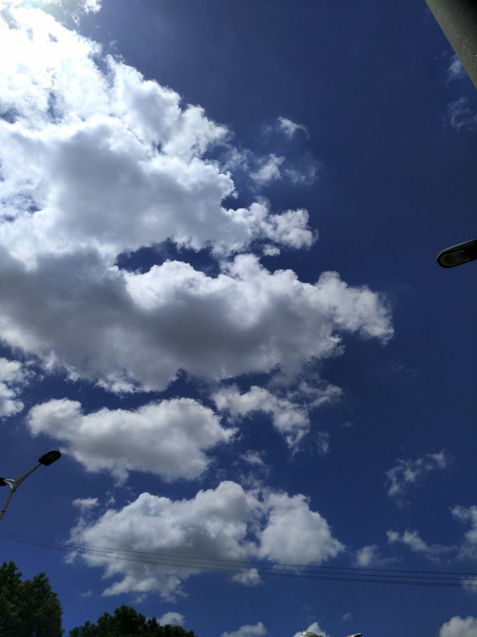 low angle view, sky, cloud - sky, day, outdoors, no people, blue, nature, flying, tree, beauty in nature