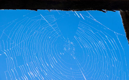 Low angle view of spider web against blue sky