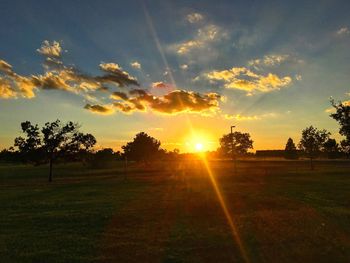 Sun shining through trees on landscape