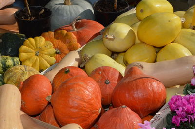 Closeup on pumpkins  on a weekly market