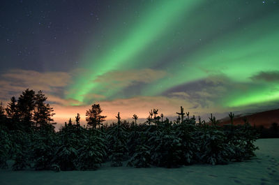 Scenic view of dramatic sky at night