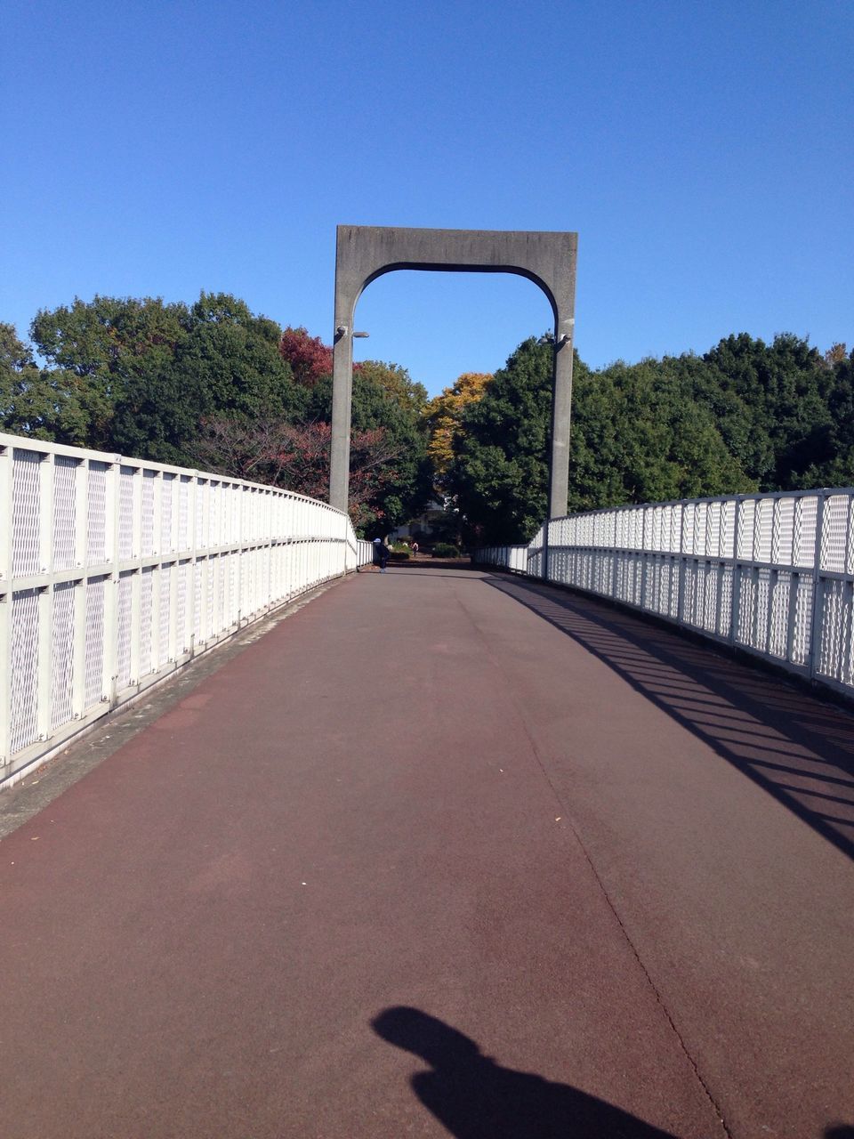 clear sky, the way forward, tree, built structure, shadow, architecture, railing, sunlight, diminishing perspective, blue, empty, footpath, day, walkway, vanishing point, outdoors, road, absence, no people, pathway