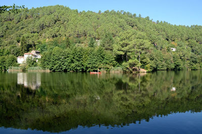 Scenic view of lake by trees against sky