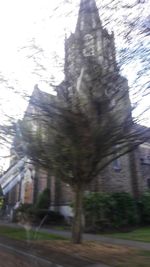 Low angle view of trees against building