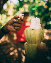 Cropped hand holding fruit