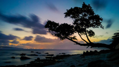 Silhouette tree by sea against sky at sunset