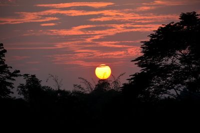 Scenic view of sunset