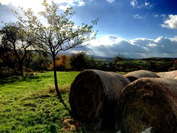 Hay bales on field against sky