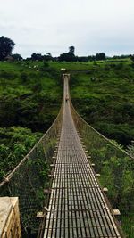 Footbridge along trees on landscape against sky