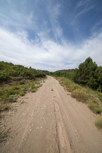 Road amidst plants against sky