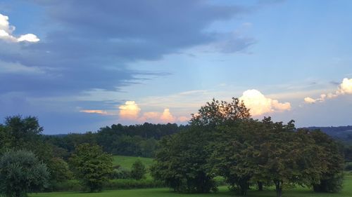 Trees on field against cloudy sky