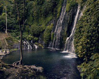 Scenic view of waterfall in forest