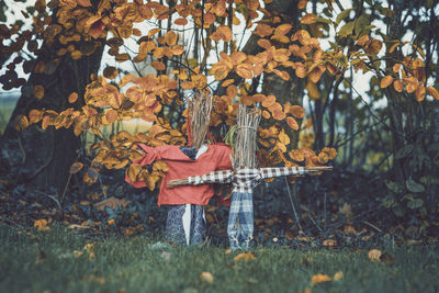 Rear view of man standing by autumn leaves in forest