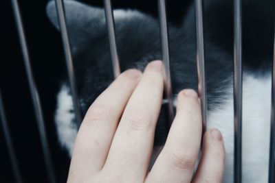 Close-up of hand on window