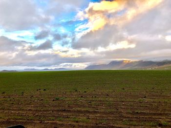 Scenic view of agricultural field against sky