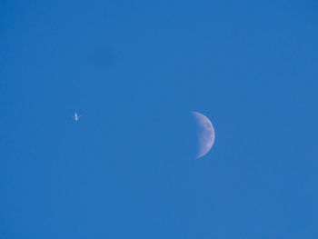 Low angle view of half moon against clear blue sky