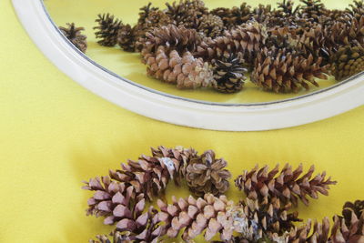 High angle view of vegetables on table