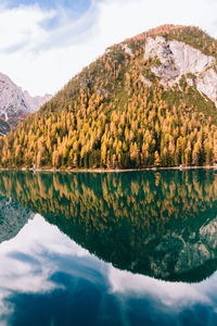 Autumn trees reflecting on calm lake