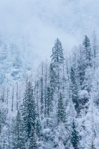 Scenic view of snow covered landscape