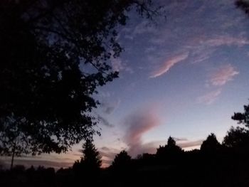 Low angle view of silhouette trees against sky at sunset