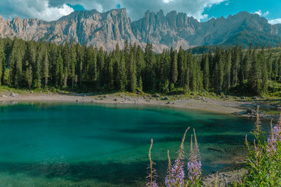 mountain