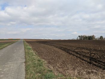 Scenic view of agricultural field against sky