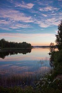 Reflection of trees in calm lake