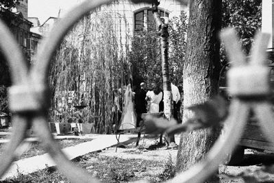 People walking by trees in city