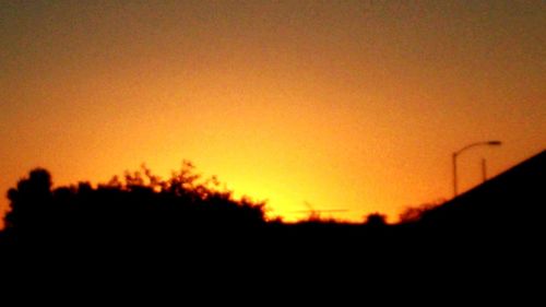 Silhouette of tree against sky during sunset