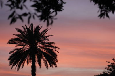 Silhouette palm trees against romantic sky at sunset