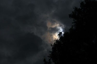 Low angle view of silhouette tree against sky