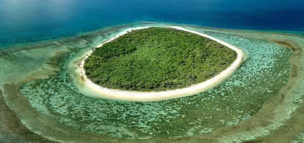 Îlot redika. new caledonia south lagoon