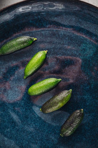 High angle view of fruits in water